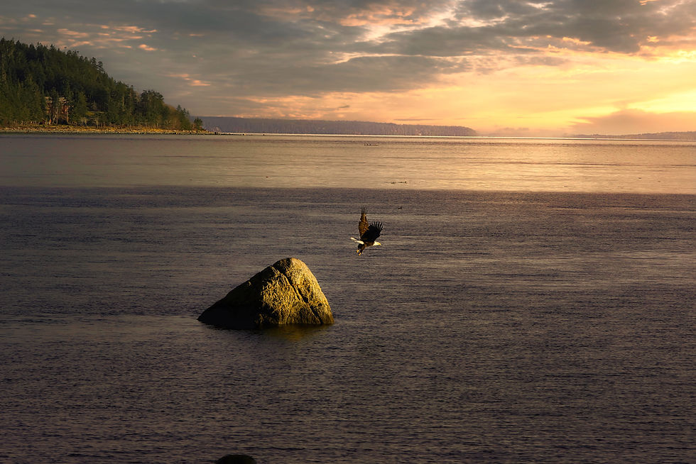 Campbell River Ocean.jpeg