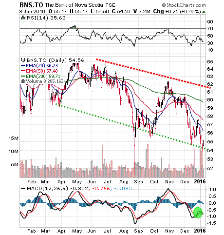 Scotia Bank Stock Overview