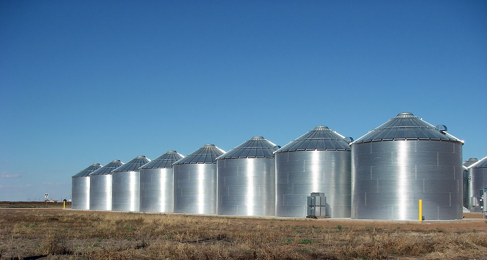 Ralls_Texas_Grain_Silos_2010.jpg