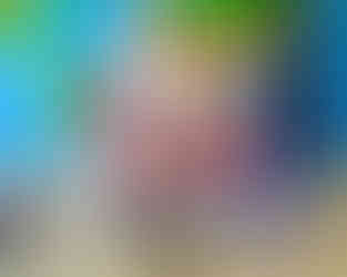 Christmas celebration