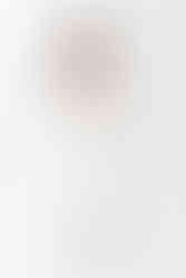 振り返りショット