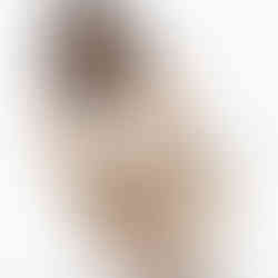 しゃがんだローアングル構図