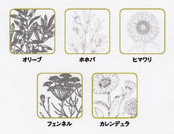 オーガニック植物成分