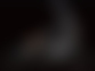 レプロナイザー4D PLUS