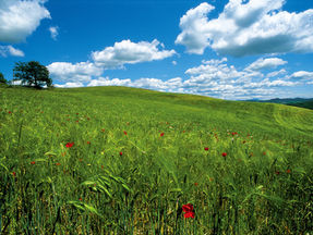 トレンドキーワード 、「サスティナブル」とは