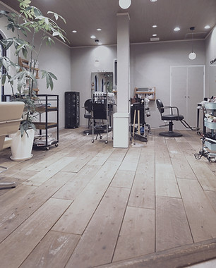 美容室のスタイリングチェアと観葉植物が置かれた店内