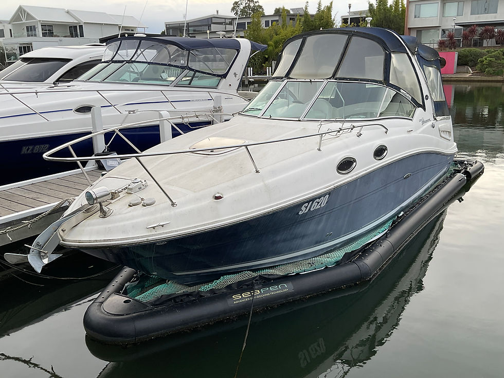 Thumbnail: 2005 SeaRay 275 Sundancer 