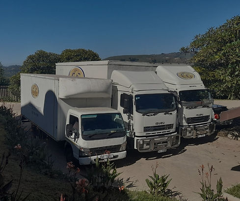 The Cg trucks lined up in the parking lot of the Durban factory