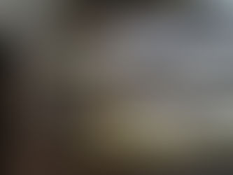 ビワマス Biwako Trouts