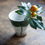 Thumbnail: green lotus leaf cup