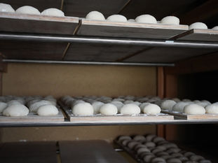 餅つき大会 2025 Closing the year with mochi pounding party