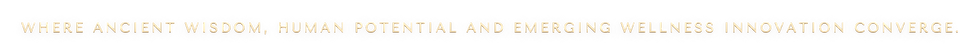 wellnest-banner-sub-wide-depth.png