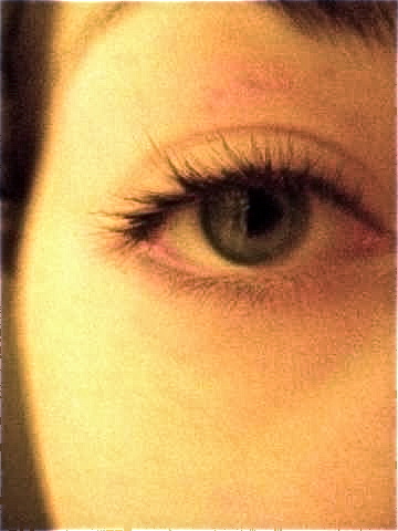sight.