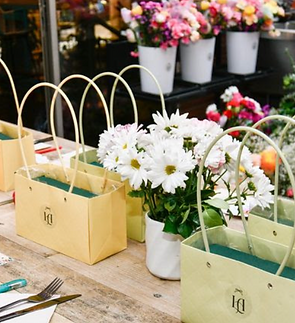 Captura de pantalla 2026-02-13 a la(s) 12.57.48 p.m..png