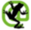 Screaming frog logo