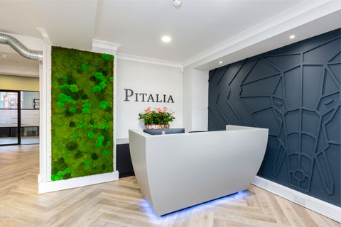 Pitalia office interior design