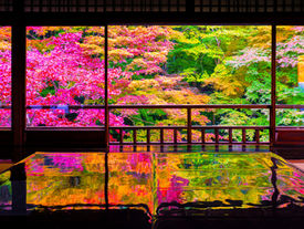 Autumn leaves and reflections at Ruriko-in Temple