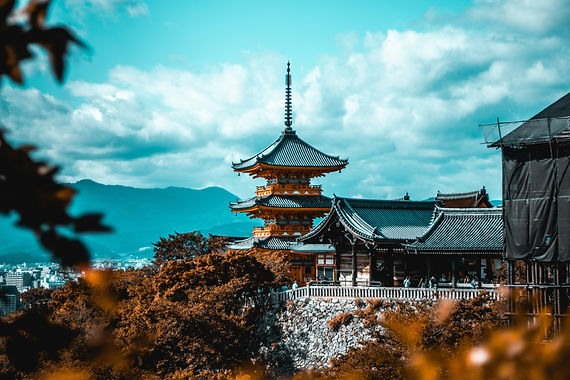 iStock-1162063178.jpg