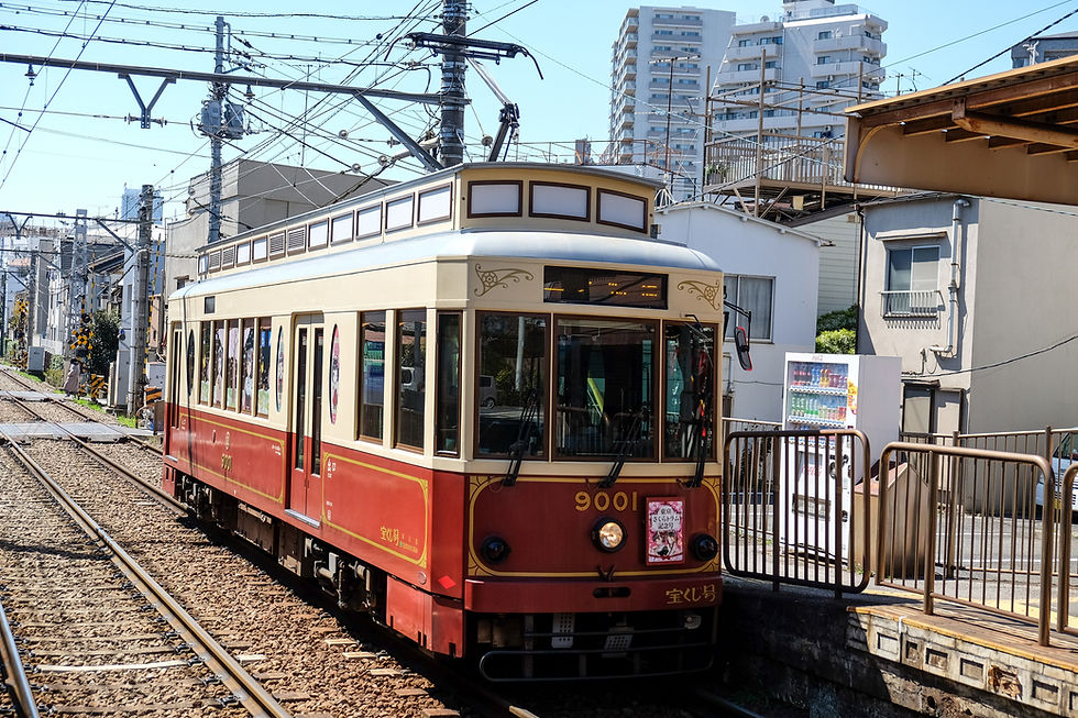The Tokyo Sakura Tram
