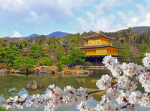 Image by Fumiaki Hayashi