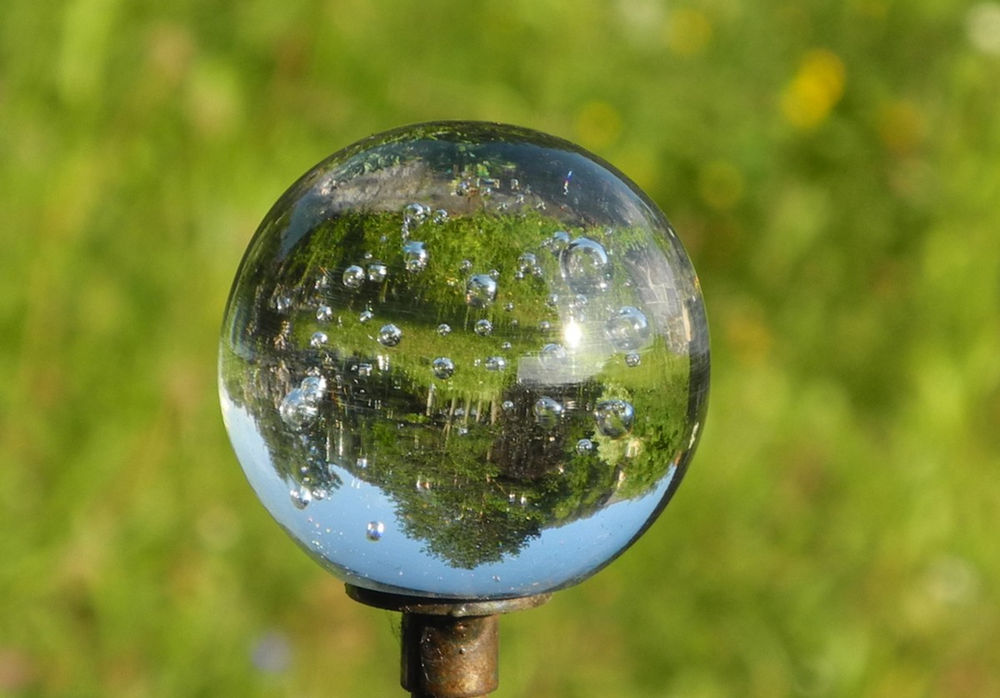 Are You Keeping Yourself in an Online Bubble?