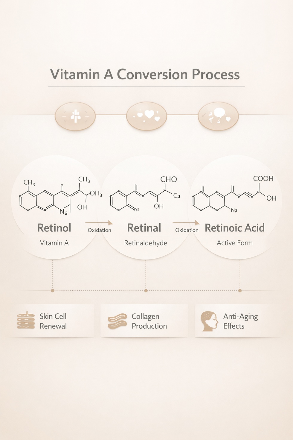 Diagram of Vitamin A conversion, showing Retinol to Retinal to Retinoic Acid. Benefits: Skin Renewal, Collagen, Anti-Aging. Beige tones.