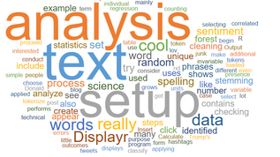 Text Analysis of Causes of Accidents in Flight School