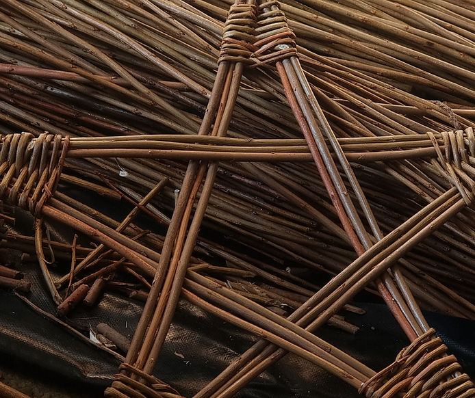 willow star.jpg