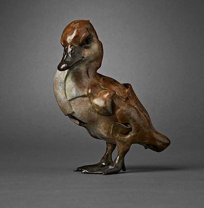 fredgordonwingedduckling.png