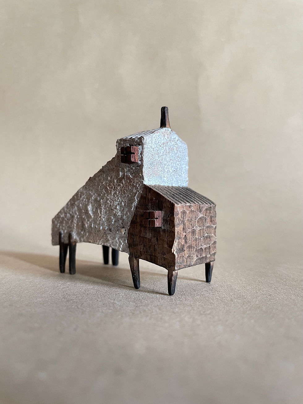 Thumbnail: House where the birds come