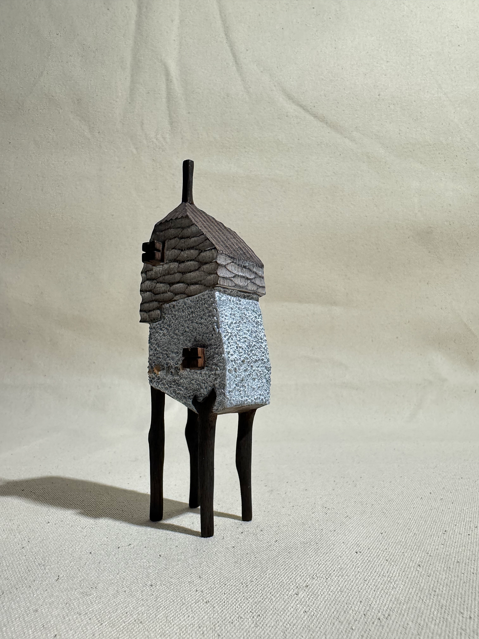 Thumbnail: The Wandered House