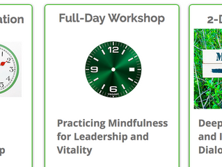 MINDFUL LEADERSHIP
Contributing to Vitality