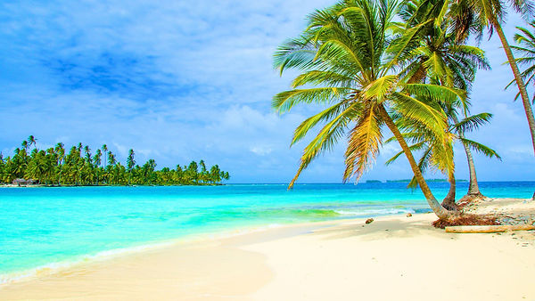 SoniCentric transforms any environment with stunning 4K relaxing videos designed to create calm, focus, and peace.