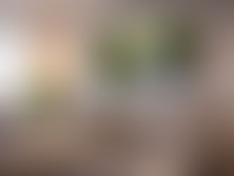 How Calming Visual Environments Can Transform Mental Health Waiting Rooms