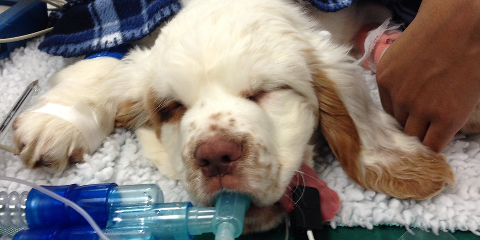 Optimising patient safety during anaesthesia