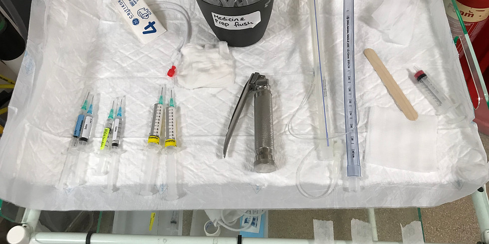 Management of the respiratory distress patient from admission to discharge: Evening