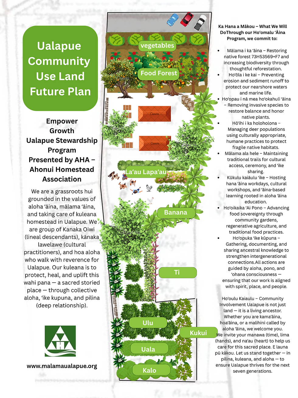 Future plan in 3 years