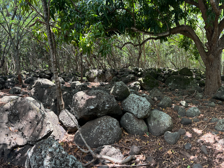 🌿 Kahea to Volunteers – Mālama ʻĀina Day 🌿