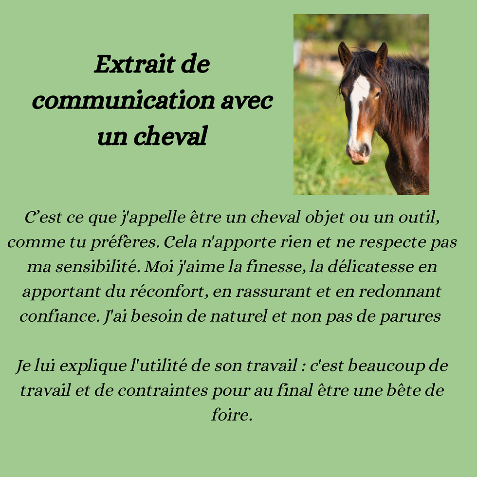  interprète animalier