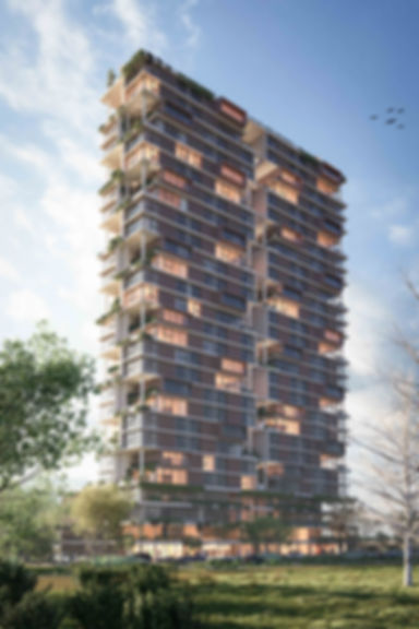 Videiras - Viva Park