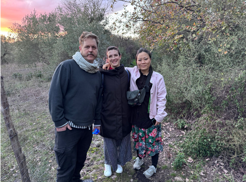 SET-PED Project Newsletter 01/2026