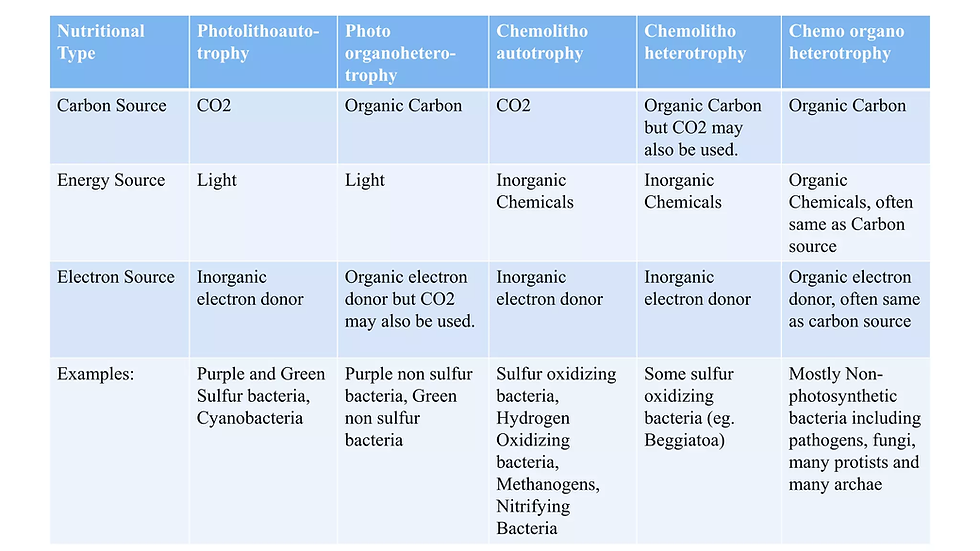 Categories of bacteria based on nutrition intake and metabolic methods