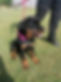 3ecbc7b0-4da4-4d70-a3d7-c124ad3362e4.jpg