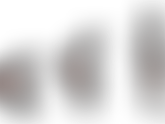 Fitness - Mijn Home Workout met Gewichten - Pull Versie