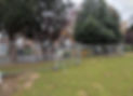 Trees protected by Heras fencing erected around the edge of a root protection area (RPA).