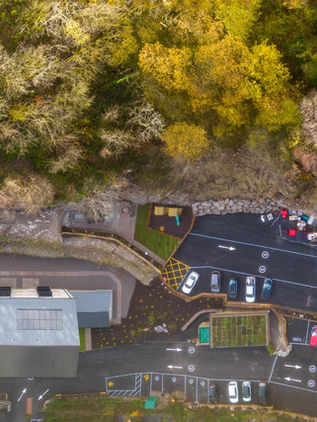 Drones in Arboriculture: A Viable Survey Solution for Arboriculture and Ecology?