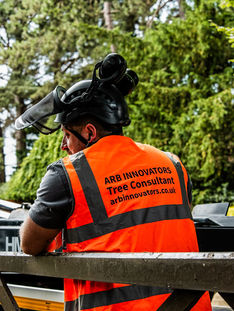 What's the Difference Between An Arboricultural Consultant and Tree Consultant?