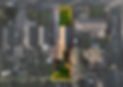 Guide to different tree surveys boundary.png