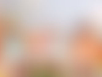 What Are Social-Emotional Skills And Why Are They Important For Children?