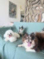 WhatsApp Image 2025-11-20 at 11.20.53 AM.jpeg